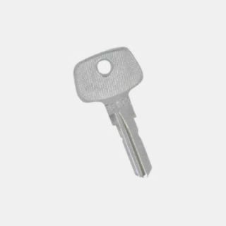 Key to remove the FAP 2000 series cylinder