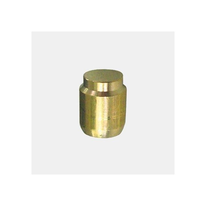 Bouchon obturateur gaz TRUMA diam 8 mm