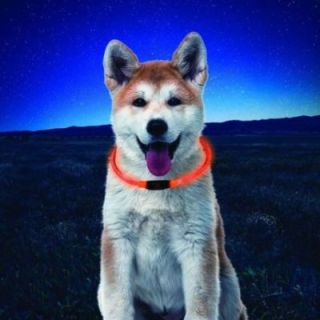 NITEHOWL Safety Necklace NITE IZE for dogs - neon orange