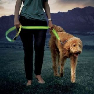 Guinzaglio a led NITEDOG NITE IZE - Verde