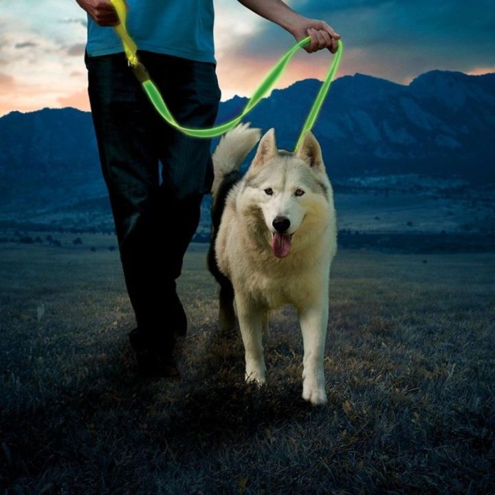NITEDOG Led Leiband NITE IZE - Groen