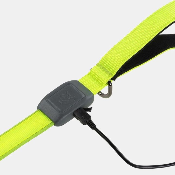 Guinzaglio a led NITEDOG NITE IZE - Verde