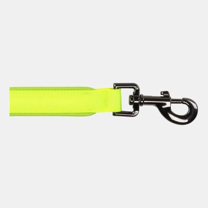 Guinzaglio a led NITEDOG NITE IZE - Verde