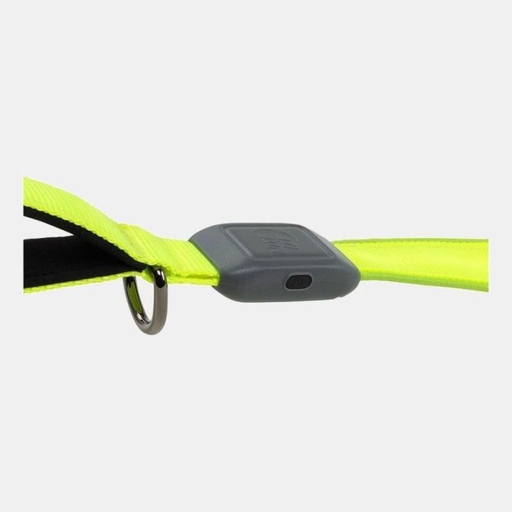 Guinzaglio a led NITEDOG NITE IZE - Verde