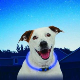 NITEHOWL Safety Necklace NITE IZE Halsband für Hunde - Blau