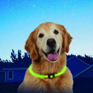 NITEHOWL Collar de seguridad NITE IZE para perros - Verde fluorescente