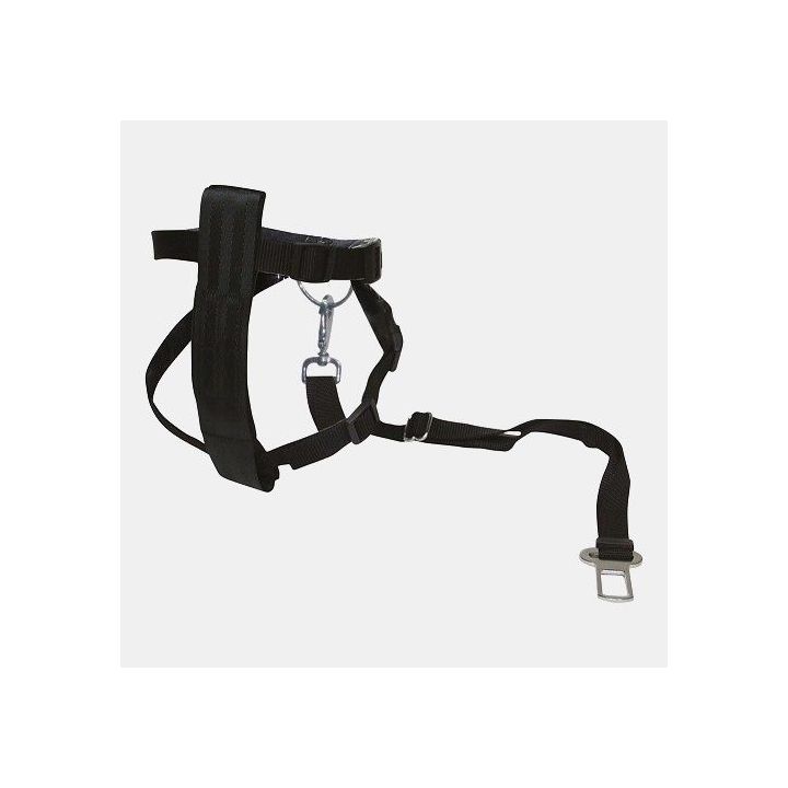 Harnais de sécurité pour grands chiens (80-110 cm)