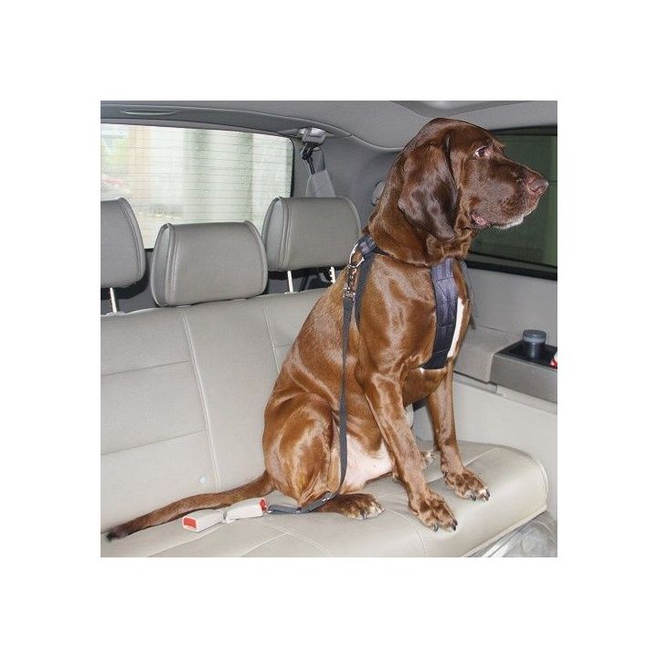 Harnais de sécurité pour grands chiens (80-110 cm)