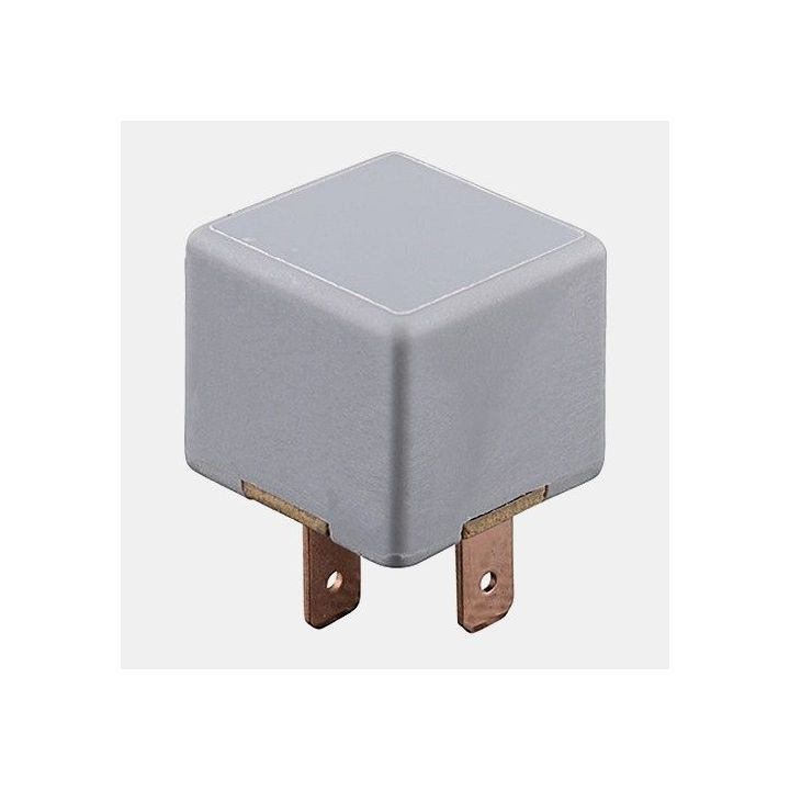 Relais 12 Volts 40A pour réfrigérateurs et stores F45S Fiamma