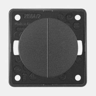 BERKER Double Anthracite Switch 12V/230V Integro