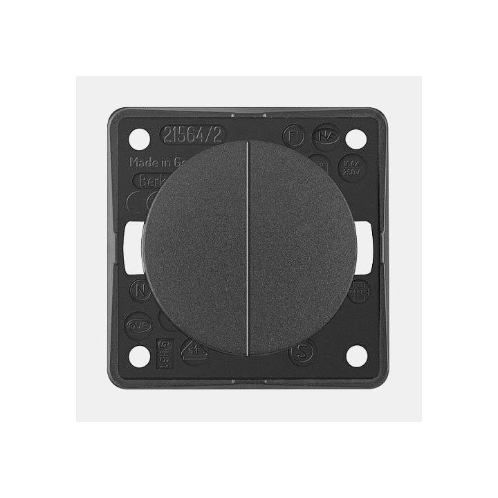 BERKER Double Anthracite Switch 12V/230V Integro