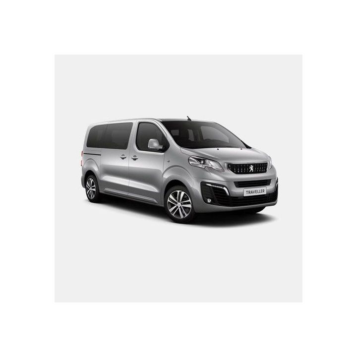 Komplettset F45S 260 PSA - 263x247 cm -Leinwand: Royal Grey - Gehäuse: weiß für Peugeot Traveller III ab 2016