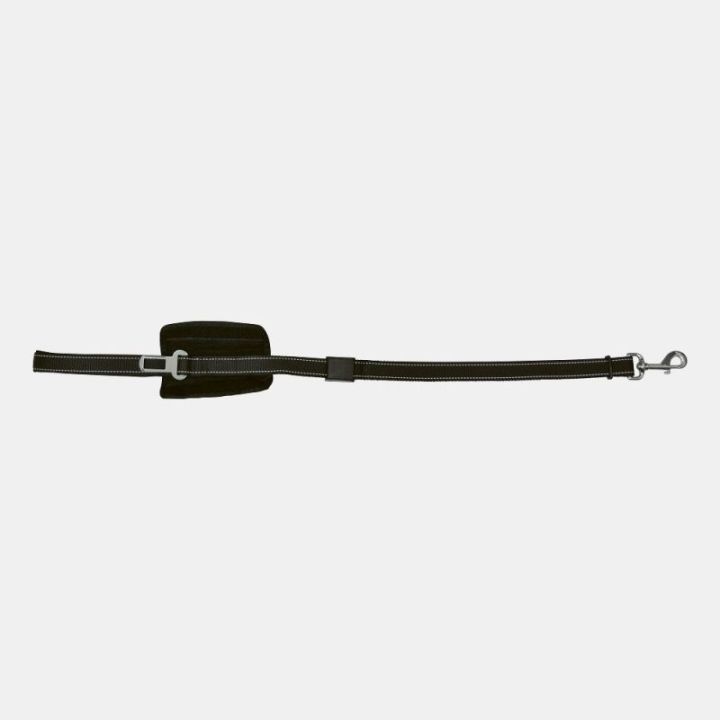 Laisse courte chien pour auto camping-cars caravanes