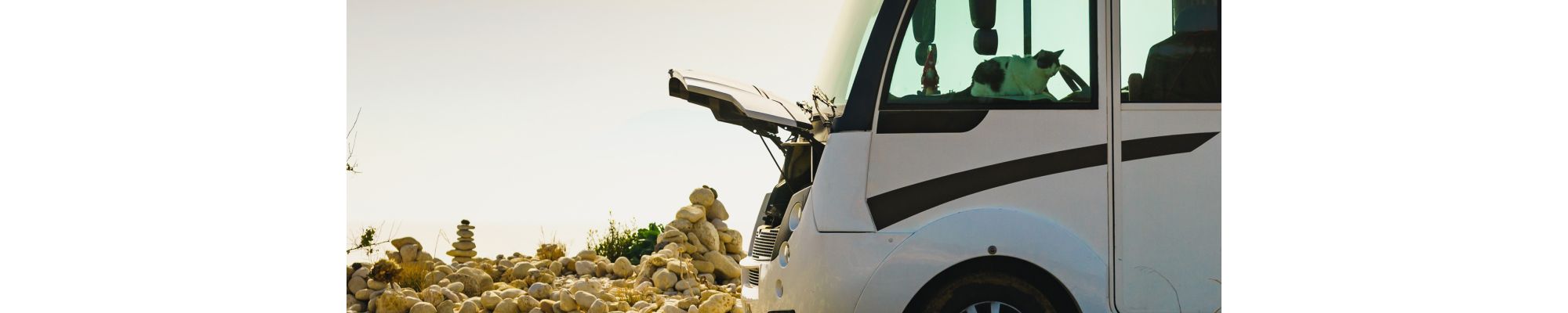 Vehicle maintenance