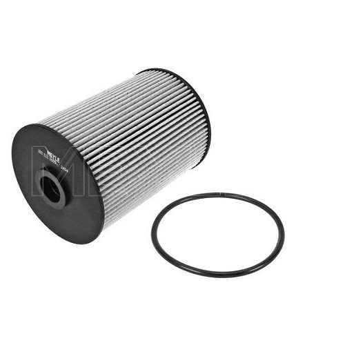     
                
                
    Filtro carburante per Audi A3 (8P) fino al ->2006, MEYLE Qualità originale - AC47184
