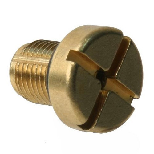     
                
                
    Metal water hose bleed screw for BMW - BC55886
