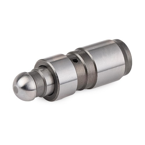     
                
                
    1 Hydraulic lifter tappet for BMW E30, E34, E46 & E34 - BD21400
