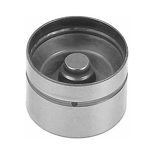     
                
                
    1 hydraulic tappet for BMW E36, E46, E34 and E39 - BD21406
