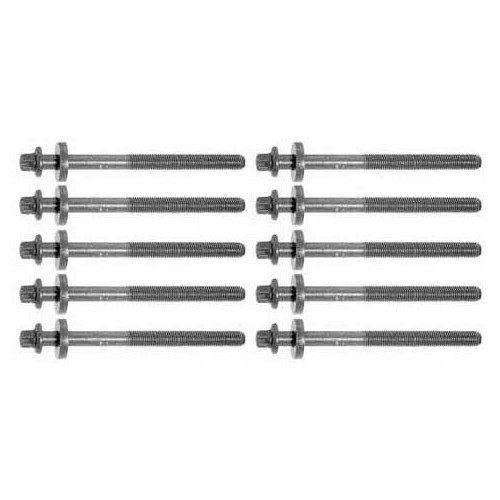     
                
                
    Set di 10 viti per testata cilindri per BMW Serie 3 E36 E46 e Serie 5 E39 4 cilindri diesel - motori M41 e M47 - BD83804
