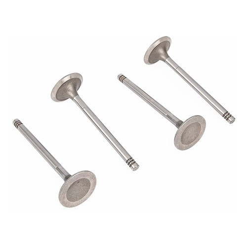     
                
                
    Soupapes d'admission pour moteurs Type 4 1.7, 1.8 et 2.0 L 39x8mm - par 4 - KD22798
