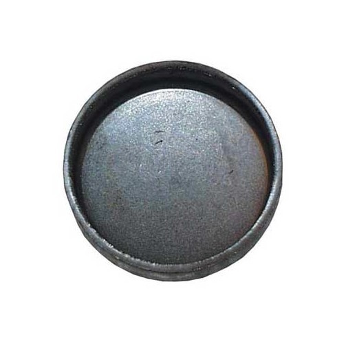    
                
                
    Schuurplug 36,6 mm voor VOLKSWAGEN LT2 (1996-2006) - LT20001

