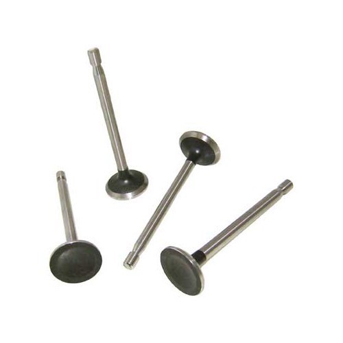     
                
                
    Soupapes d'admission 29,6 mm pour moteur pied moulé 30cv - 4 pièces - VD22807
