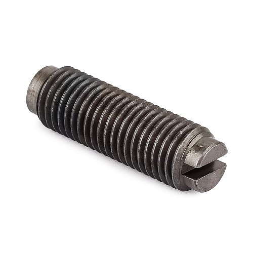     
                
                
    Marteau ou vis de culbuteur origine diamètre 8 mm - VD25800
